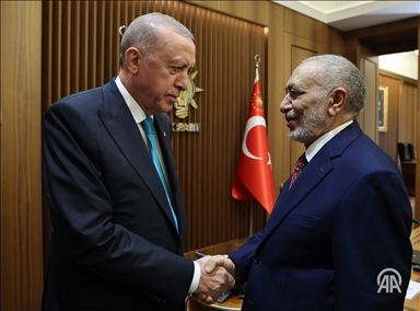 سەرکۆمار ئەردۆغان پێشوازی کرد لە  سەرۆکی ئەنجوومەنی نوێنەرانی عێراق، مەحموود مەشهەدانی