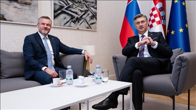 Plenković s Pellegrinijem: Želimo dodatno ojačati energetsku saradnju sa Slovačkom