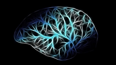 Brain sugar glycogen helps manage oxidative stress, may slow Alzheimer’s disease: Study