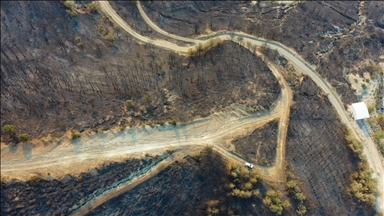 Hatay'da devam eden orman yangınında zarar gören alanlar havadan görüntülendi