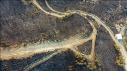Hatay'da devam eden orman yangınında zarar gören alanlar havadan görüntülendi