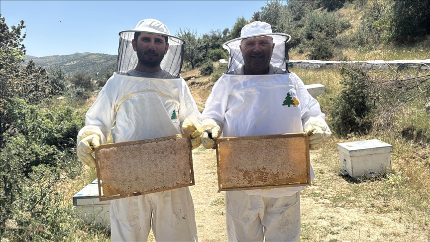 Gezgin arıcı baba ve oğlu kaliteli bal için omuz omuza çalışıyor