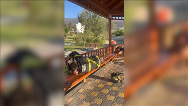 Hatay'daki orman yangınına müdahale eden itfaiyeciler kaldırım ve banklarda dinlendi