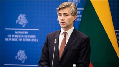 Литва планирует вести переговоры с США о приостановке поставок оружия в Украину