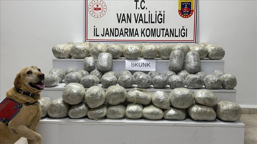 97 kîlogram hişbira sentetîk ya ku ji Îranê bi hêstiran anîbûn hat desteserkirin
