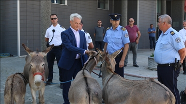 Lawyer brings donkeys to Kosovo Assembly to protest deadlock