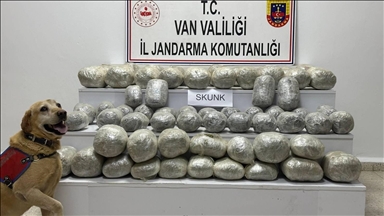 97 kîlogram hişbira sentetîk ya ku ji Îranê bi hêstiran anîbûn hat desteserkirin