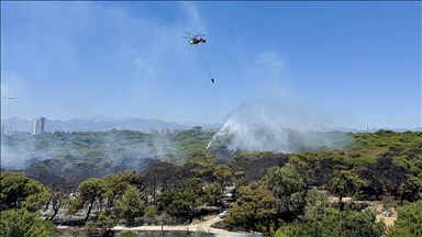 Antalya'da son bir haftada çıkan 37 orman yangınında 52 hektarlık alan zarar gördü