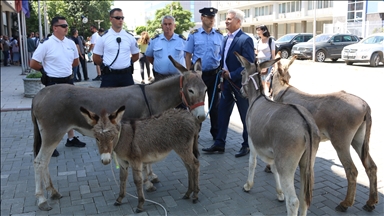 Protestë me katër gomerë para Kuvendit të Kosovës