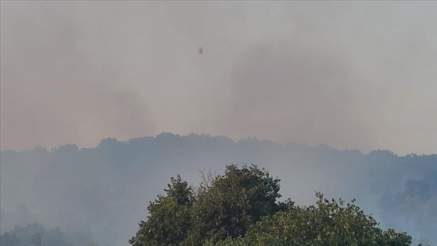 Arnavutluk'ta orman yangınları etkili oluyor