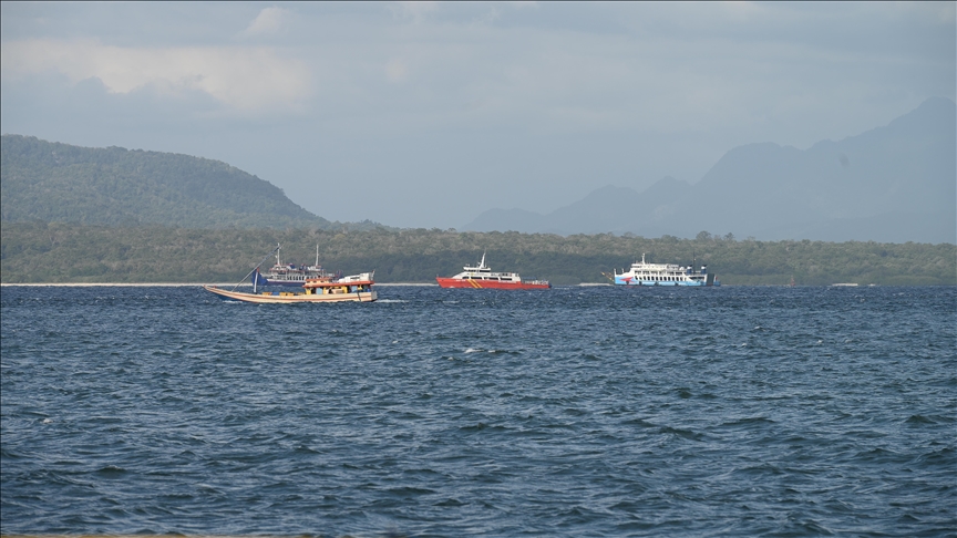 Indonesia continues search for 30 missing passengers after ferry capsizes near Bali