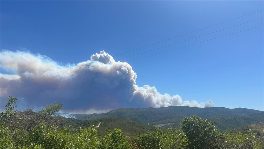 Suriye'nin Lazkiye kentinde orman yangını çıktı