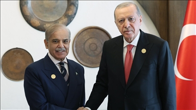 Turkish president meets Iranian counterpart in Azerbaijan