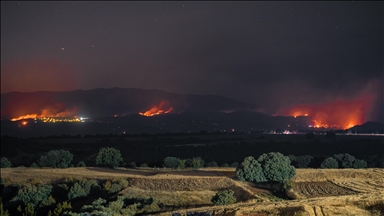 Red Cross urges Europe to act as deadly heat wave, wildfires intensify
