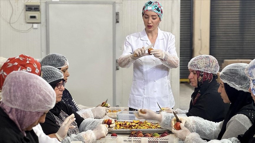 Depremzede kadın girişimci kuruttuğu meyve ve sebzelerle ihracata açıldı