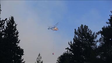 Hatay Dörtyol'da dün çıkan orman yangınına müdahale sürüyor
