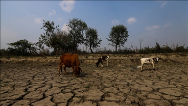 Srinagar records hottest July day in over 70 years as heatwave grips Kashmir