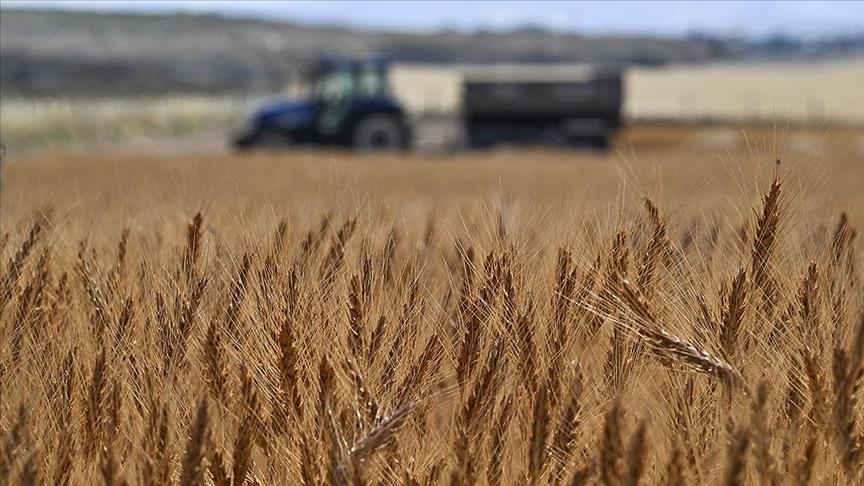 La Türkiye bat son record de production agricole et se hisse dans le top 7 mondial