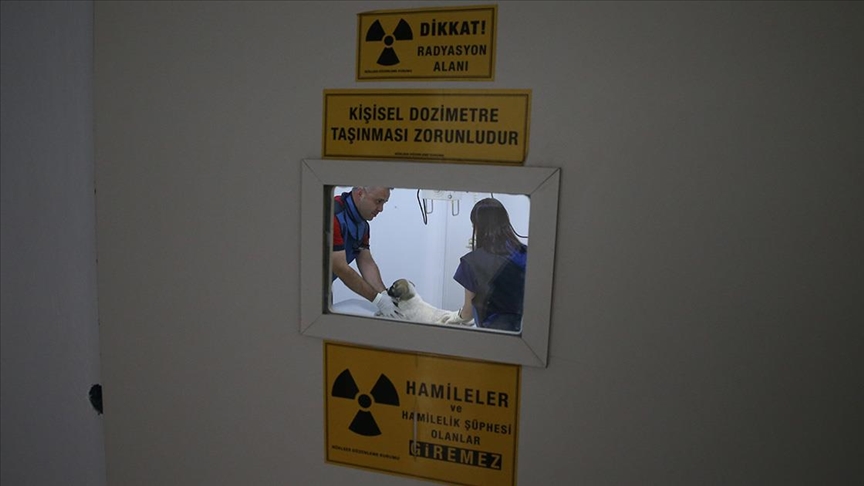 Kahramanmaraş'taki Kapıçam Bakımevi sokak hayvanlarına hem yuva hem şifa oluyor