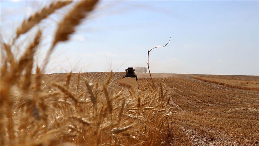 Türkiye breaks record in agricultural output, enters world’s top 7