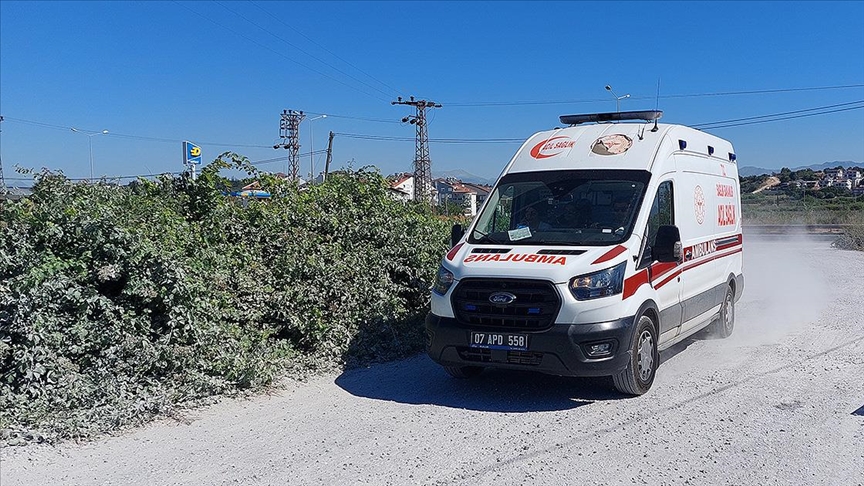 Manavgat'ta hayvan parkından kaçan aslan vurularak etkisiz hale getirildi