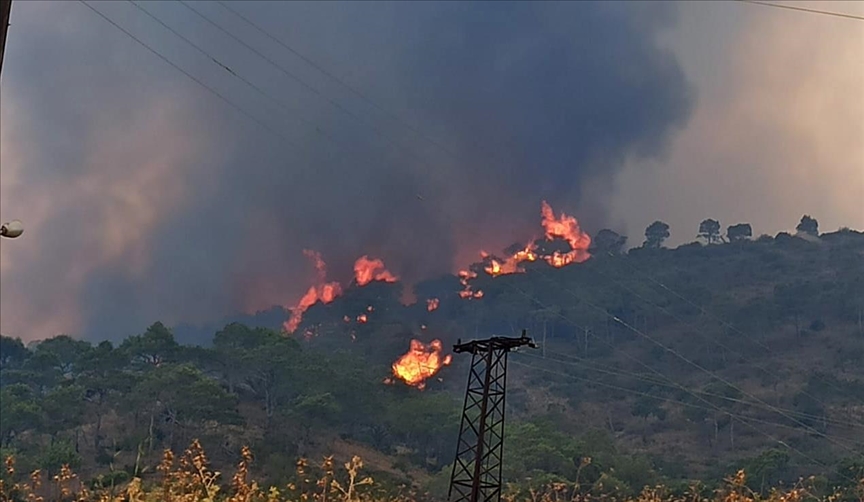 Wildfires expand in Syria’s Latakia as 10,000 hectares of forests burned