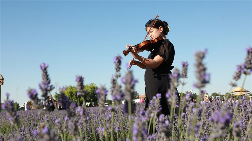 Konya'da "Karatay Lavanta Festivali" düzenlendi