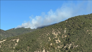 Çankırı'nın Ilgaz ilçesinde ormanlık alanda çıkan yangına müdahale ediliyor