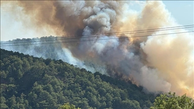 Bolu'nun Göynük ilçesinde çıkan orman yangınına müdahale ediliyor