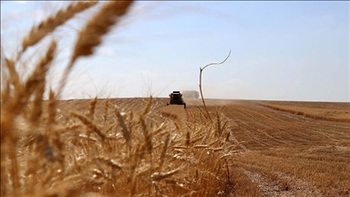 Türkiye breaks record in agricultural output, enters world’s top 7