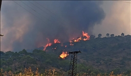 Wildfires expand in Syria’s Latakia as 10,000 hectares of forests burned