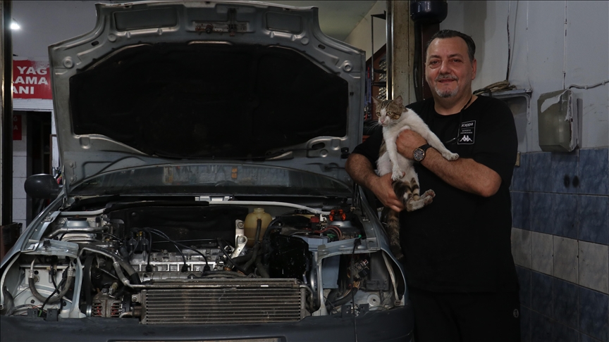 Motor ustasının "Psikopat" kedisi sanayinin maskotu oldu