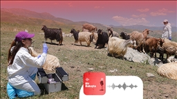 Türkiye’deki şap seferberliği hangi önlemleri içeriyor?