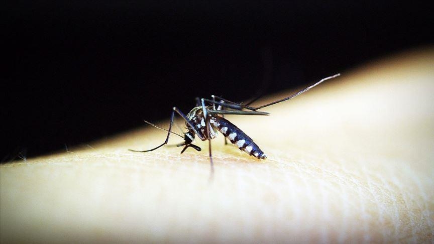Switzerland announces approval of 1st malaria treatment for babies