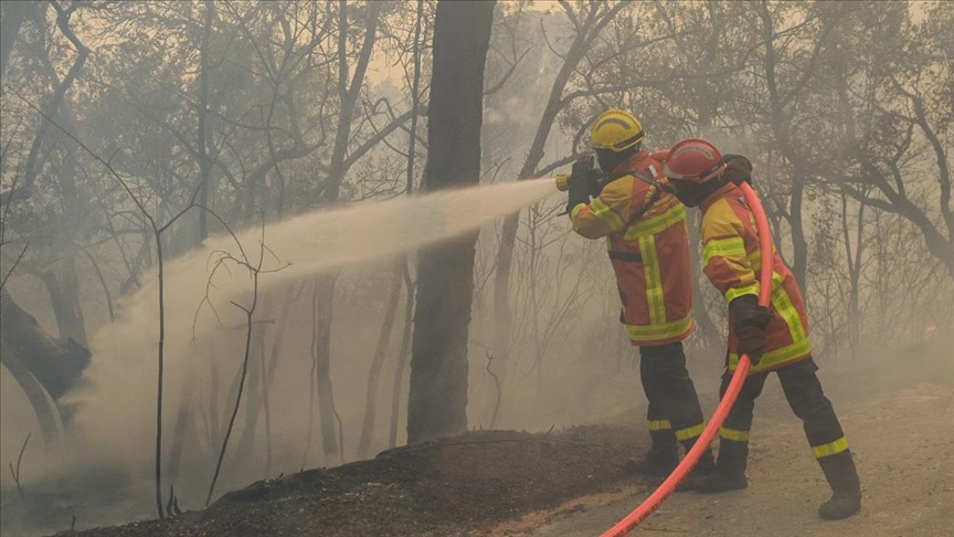 Violent incendie à Marseille : 700 hectares partis en fumée, 1000 sapeurs-pompiers mobilisés cette nuit