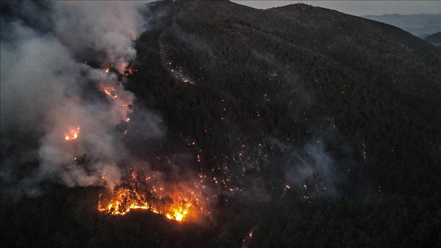 Syria seeks EU assistance to contain Latakia wildfires