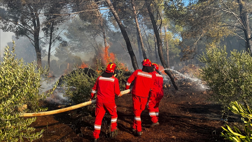 Shqipëri, katër vatra zjarri ende aktive