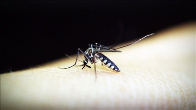 Switzerland announces approval of 1st malaria treatment for babies