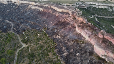 Wildfire burns 2,000 hectares in southern France, 3 departments on red alert