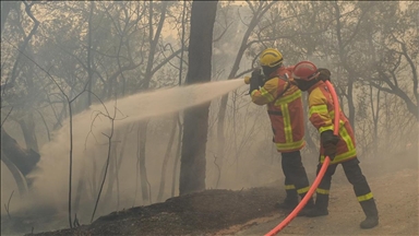 Violent incendie à Marseille : 700 hectares partis en fumée, 1000 sapeurs-pompiers mobilisés cette nuit