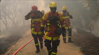 France/Incendie majeur aux Pennes-Mirabeau : le mistral propage les flammes jusqu’aux portes de Marseille