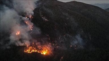 Syria seeks EU assistance to contain Latakia wildfires