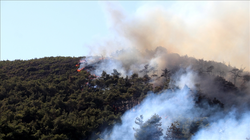 Syrian Civil Defense reports major progress in containing wildfires in Latakia countryside