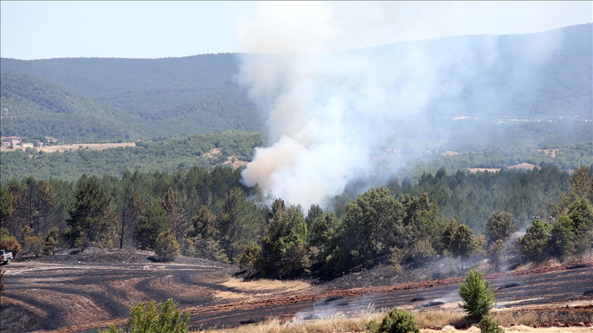 Kastamonu'da tarım arazisinde başlayıp ormana sıçrayan yangın kontrol altına alındı
