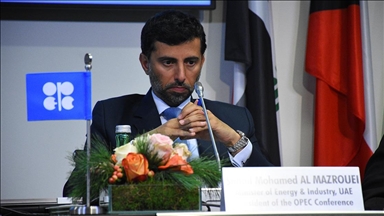 وزير إماراتي: قرارات أوبك بلس تعكس فهما دقيقا لاحتياجات السوق