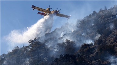 EU says it's better prepared as wildfires already rage across Europe