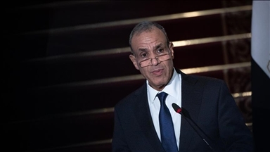 وزير خارجية مصر ومسؤول باللجنة اليهودية الأمريكية يبحثان وقف النار بغزة 