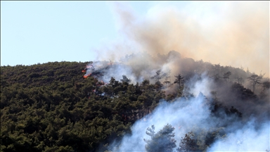 Syrian Civil Defense reports major progress in containing wildfires in Latakia countryside
