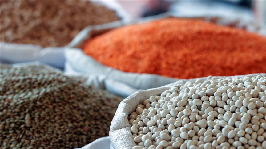 Güneydoğu'nun Afrika ülkelerine hububat ihracatı yüzde 32,9 arttı