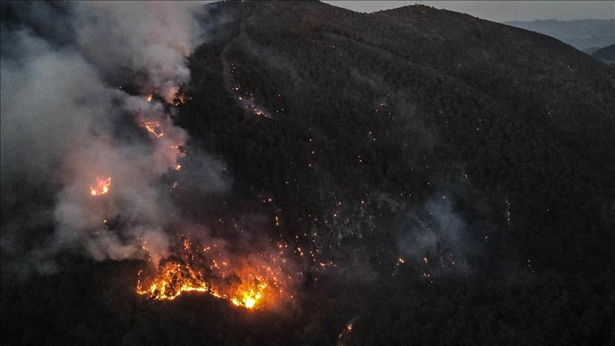 UN allocates $625,000 to support firefighting efforts in Syria